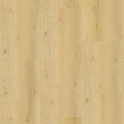 CHECK � Premium | 2078 Burbach Oak