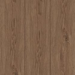 kiwi now | 40KN522 Opal Oak Coffee