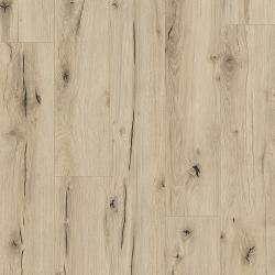 CLASSEN � Arteo 8M | 62748 Damara Oak