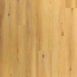 ARBITON � Amaron Superiore EIR | CASS 205 Beatrice Oak