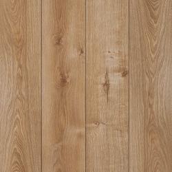 CLASSEN � Adventure 4V | 62594 Pasadena Oak