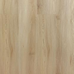 REPUBLIC � Alligator |  >> A002 Side Eye