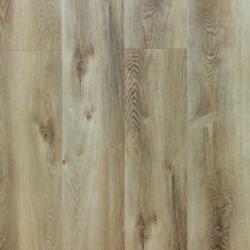 REPUBLIC � Alligator |  >> A003 No Front