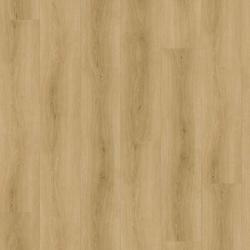 CHECK � Comfort Cork | 2509 Tordera Oak