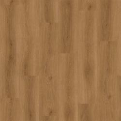 CHECK � Comfort Cork | 2511 Albera Oak