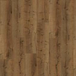 CHECK � Comfort Cork | 2516 Tajo Oak