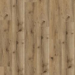 CHECK � Check One | 4129 Mombasa Oak