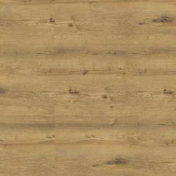 KORNER � Spectra XL | 10W Tarvos Oak