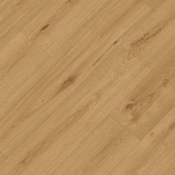 REPUBLIC � Crocodile |  >> C007 Highkey