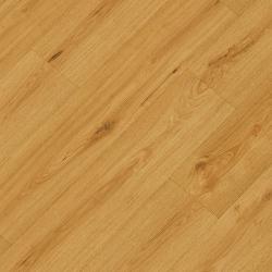 REPUBLIC � Crocodile |  >> C010 Clapback