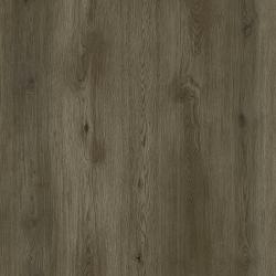 REPUBLIC � Grizzly |  >> G002 Bankster