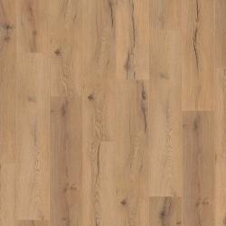 KRONOTEX � Standard Plus | D4176 Century Oak Beige